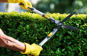 Gardeners